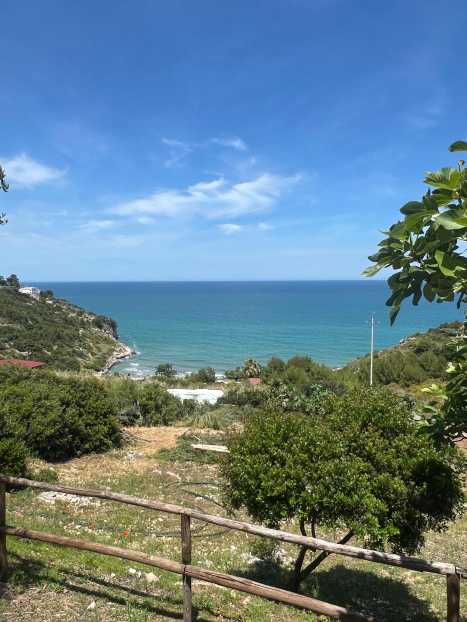 Appartamento Trilocale 2 Sul Mare Peschici Esterno foto